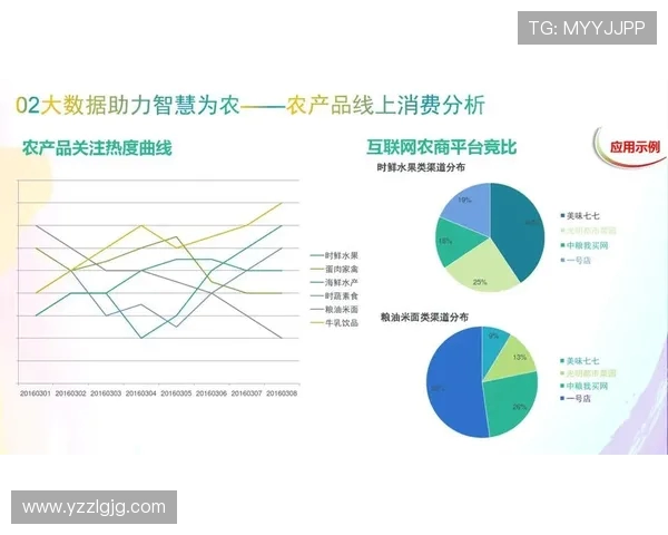 深入探讨V5在数据分析中的速度表现与优化策略