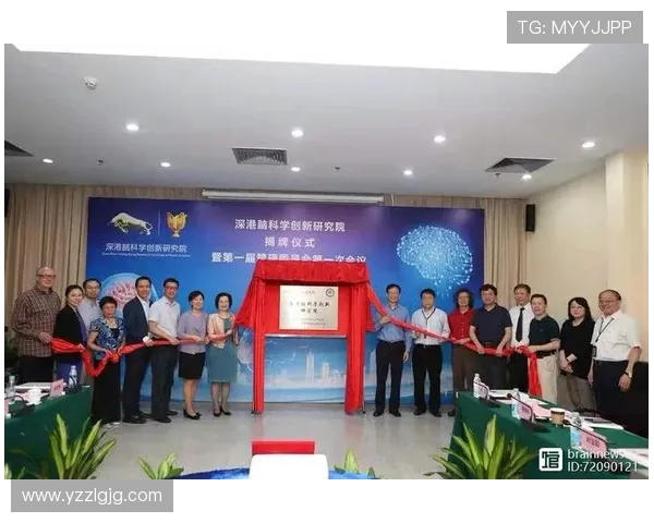 深圳网球队实力分析与表现评估的全面研究与探讨